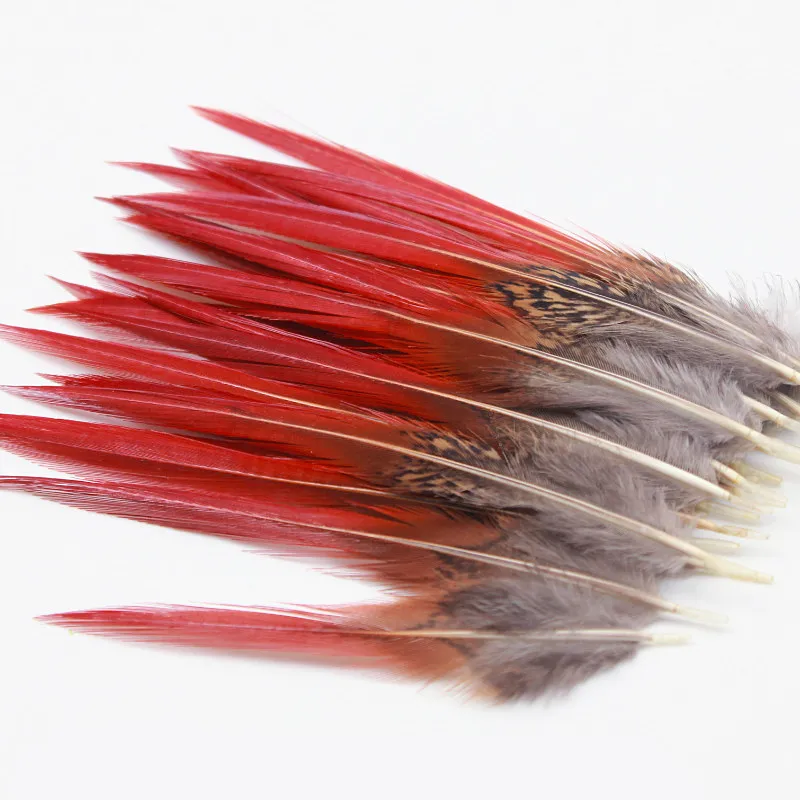 Exotic Feather insert