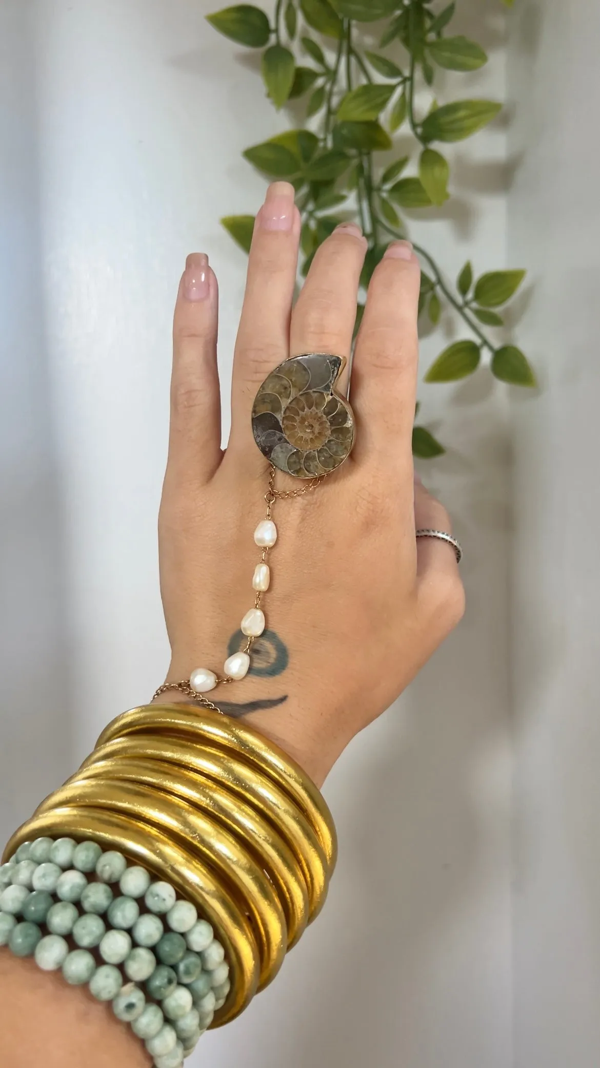 Fossil • Adjustable Ammonite Ring