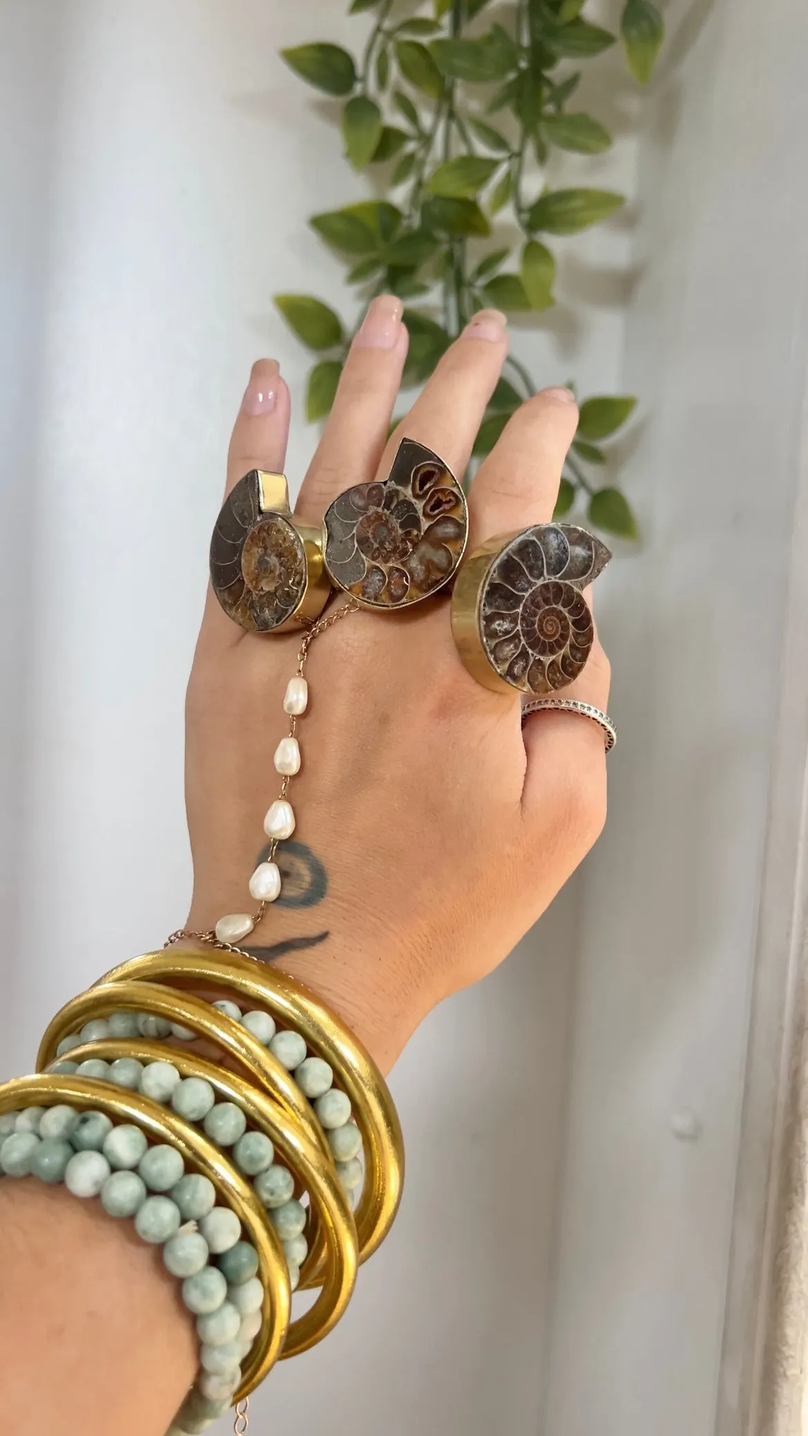 Fossil • Adjustable Ammonite Ring