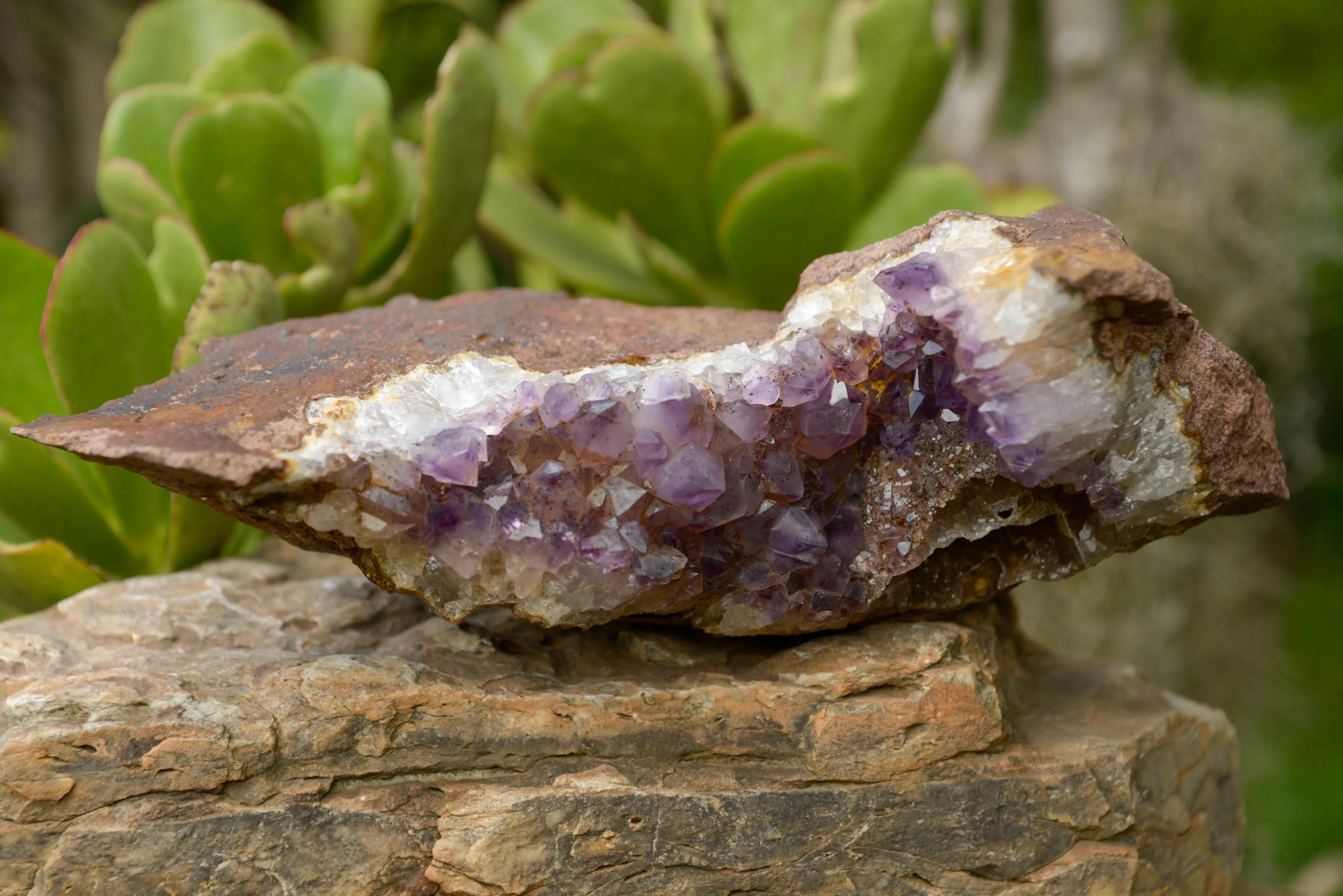 Natural Amethyst In Basalt Geode Specimen x 1 From Zululand, South Africa