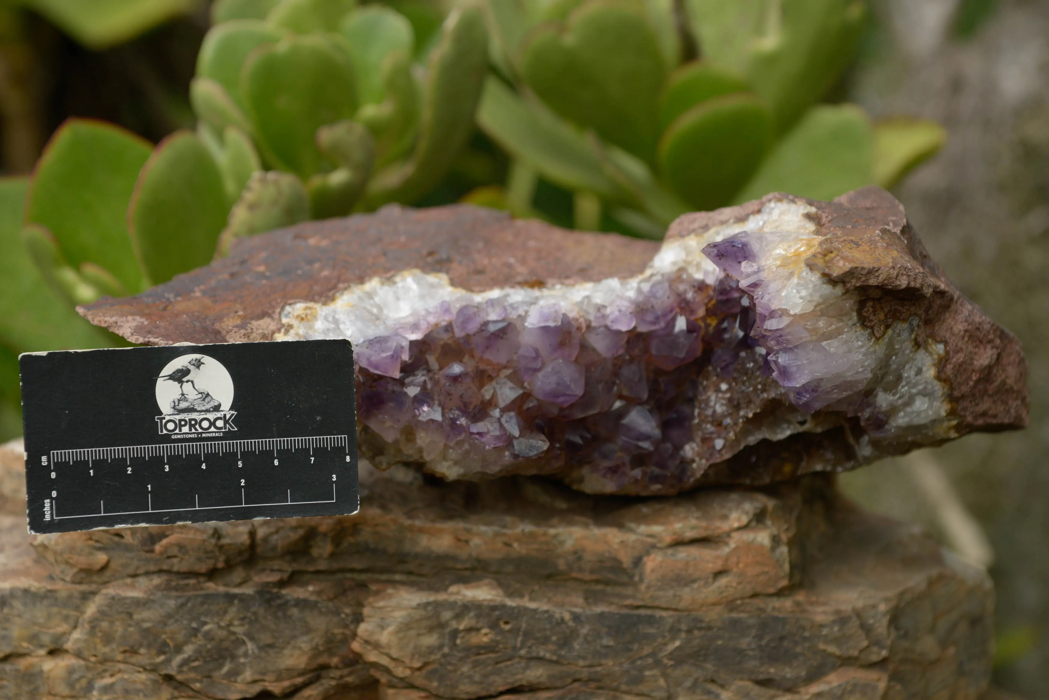 Natural Amethyst In Basalt Geode Specimen x 1 From Zululand, South Africa