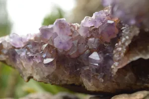 Natural Amethyst In Basalt Geode Specimen x 1 From Zululand, South Africa