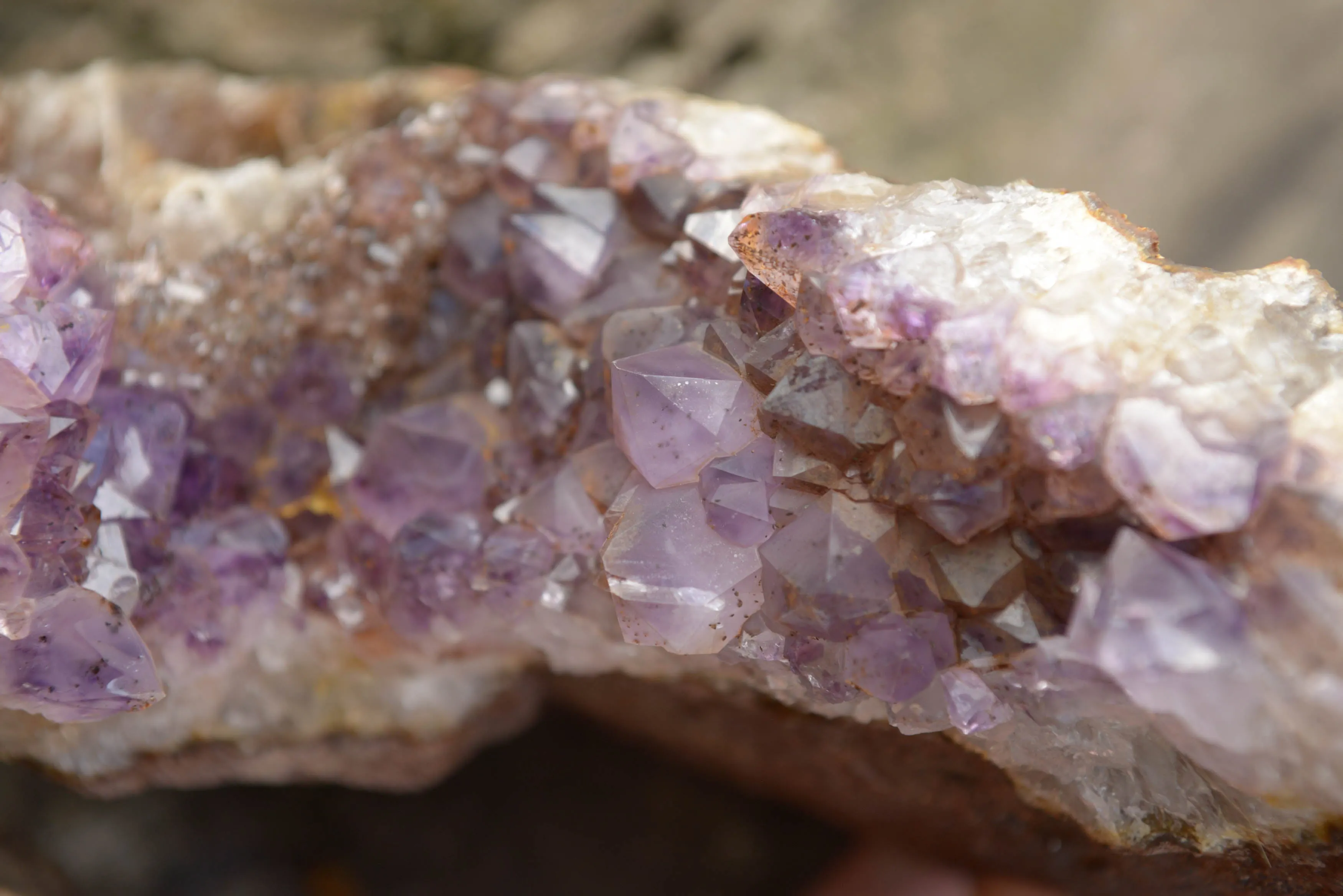 Natural Amethyst In Basalt Geode Specimen x 1 From Zululand, South Africa