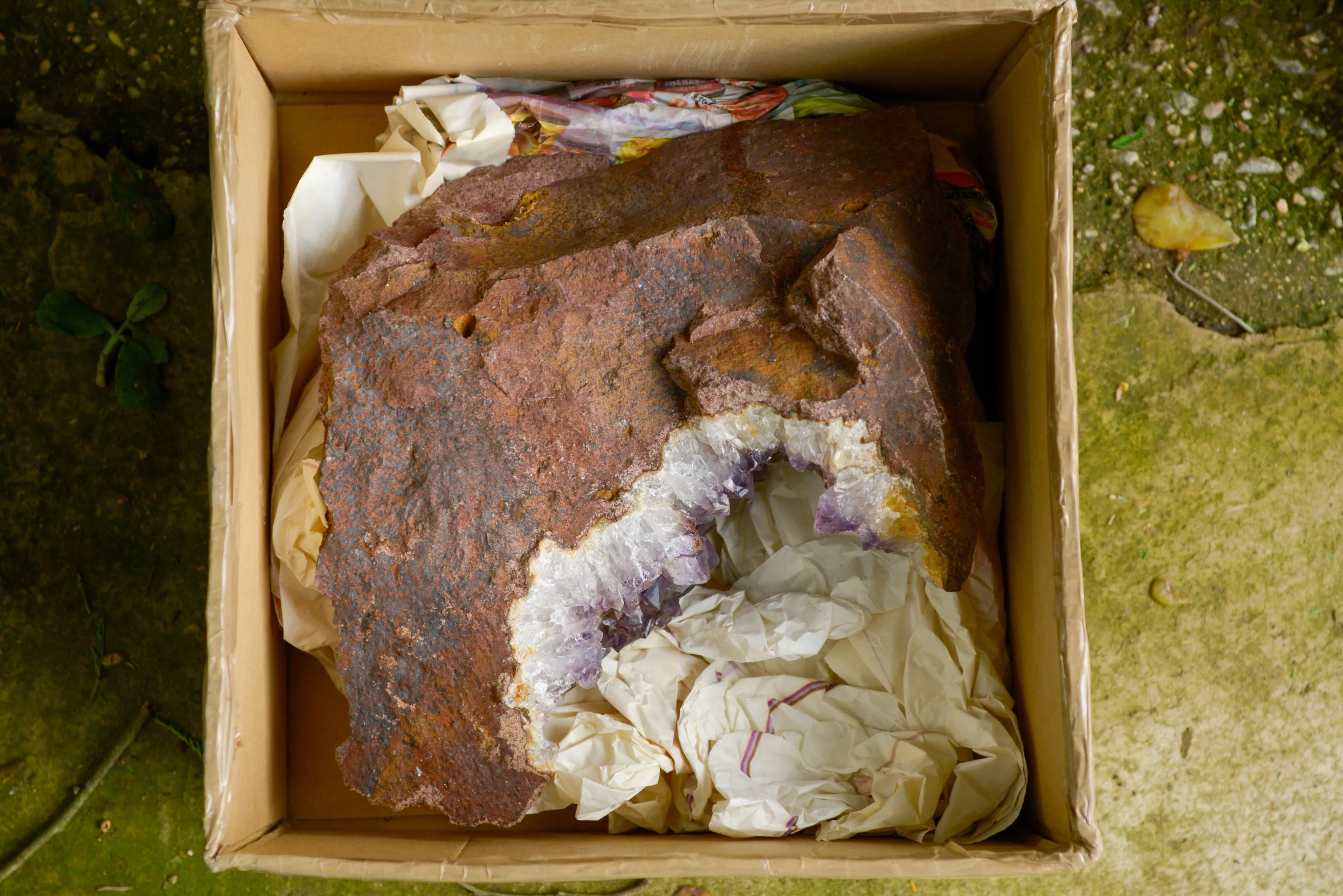 Natural Amethyst In Basalt Geode Specimen x 1 From Zululand, South Africa