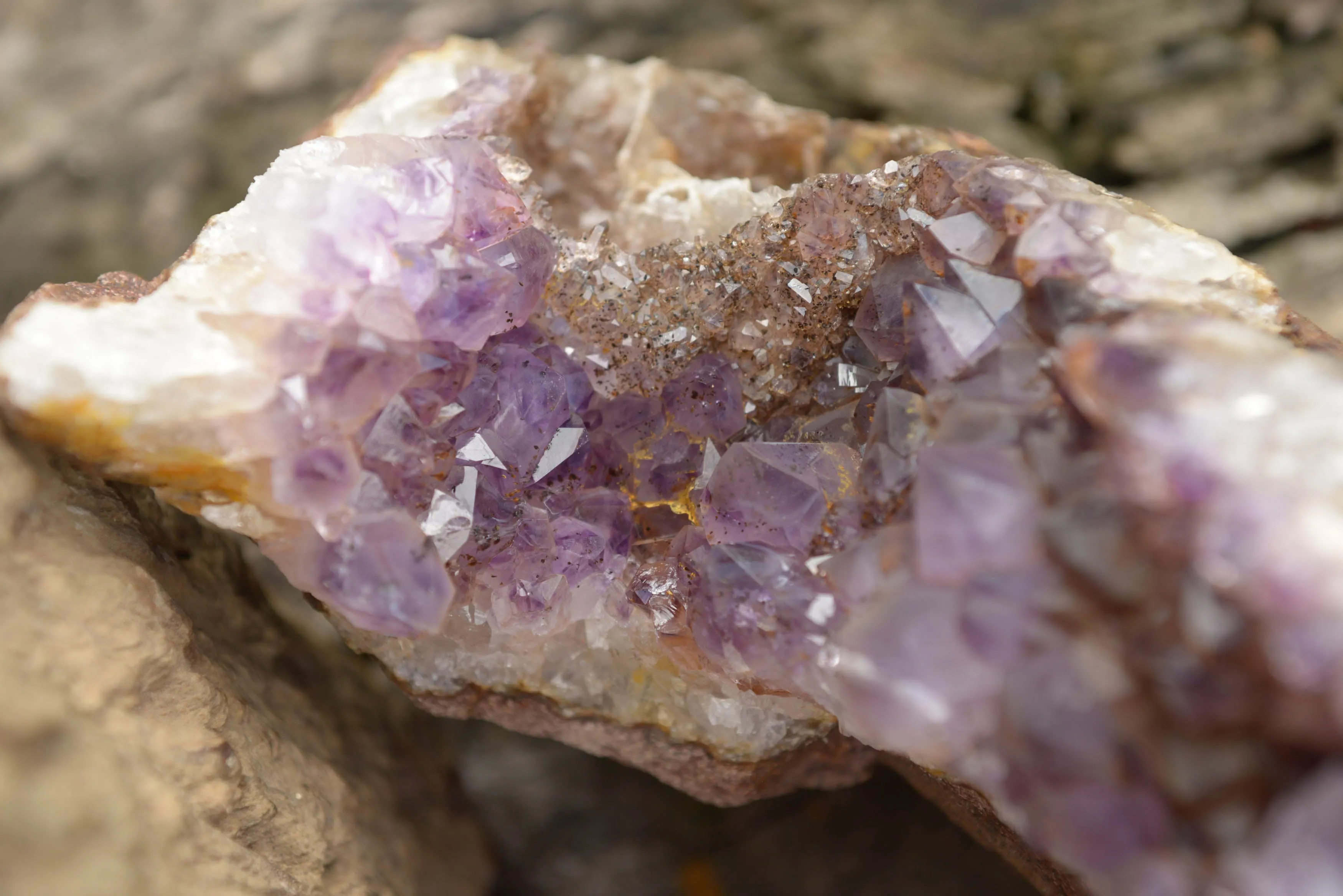 Natural Amethyst In Basalt Geode Specimen x 1 From Zululand, South Africa