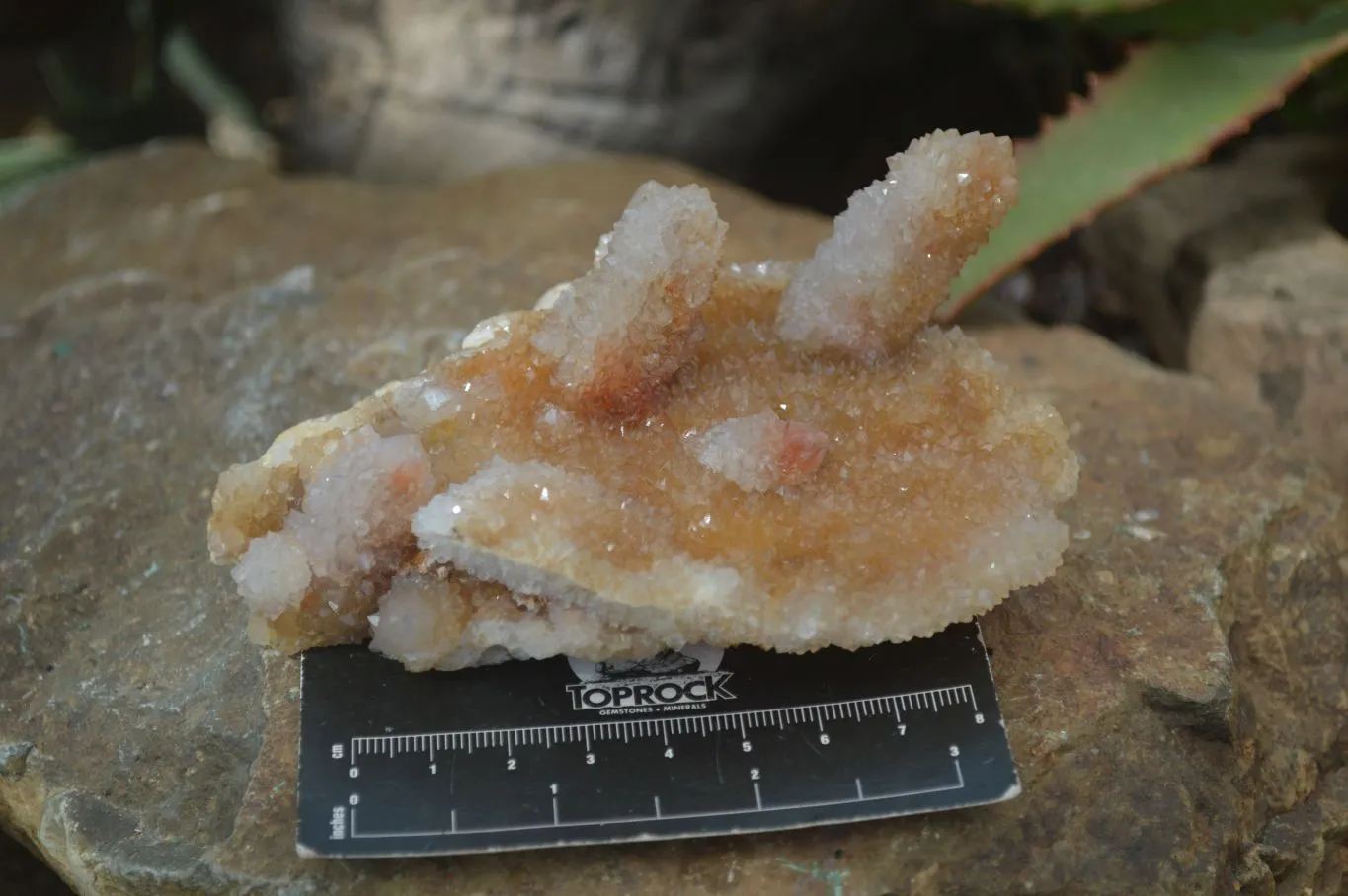 Natural Ametrine & Limonite Spirit Quartz Clusters  x 3 From Boekenhouthoek, South Africa