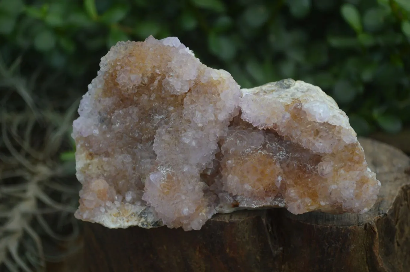 Natural Ametrine & Limonite Spirit Quartz Clusters  x 3 From Boekenhouthoek, South Africa