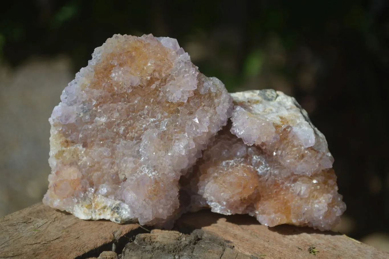 Natural Ametrine & Limonite Spirit Quartz Clusters  x 3 From Boekenhouthoek, South Africa